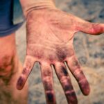 Warum Sie von der Genossenschaft Nova Sedes die Finger weg lassen sollten!
