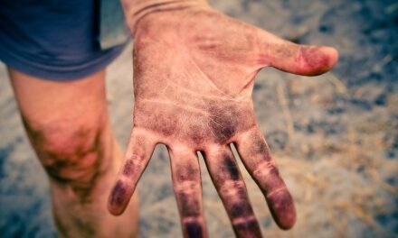 Warum Sie von der Genossenschaft Nova Sedes die Finger weg lassen sollten!